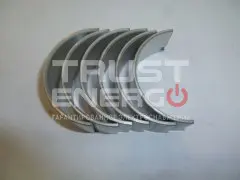 Вкладыши шатунные TDQ12 3L (к-т на 1 дв-ль) /Big-end Bearing
