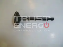 Клапан впускной KG390/Intake valve ТРАСТ-ЭНЕРГО