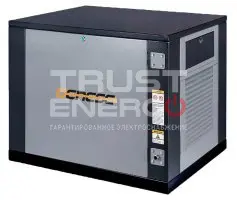 Газовый генератор Genese Standard 8500 Neva кожухе В кожухе  LC2V78FD-1 trustenergo.ru